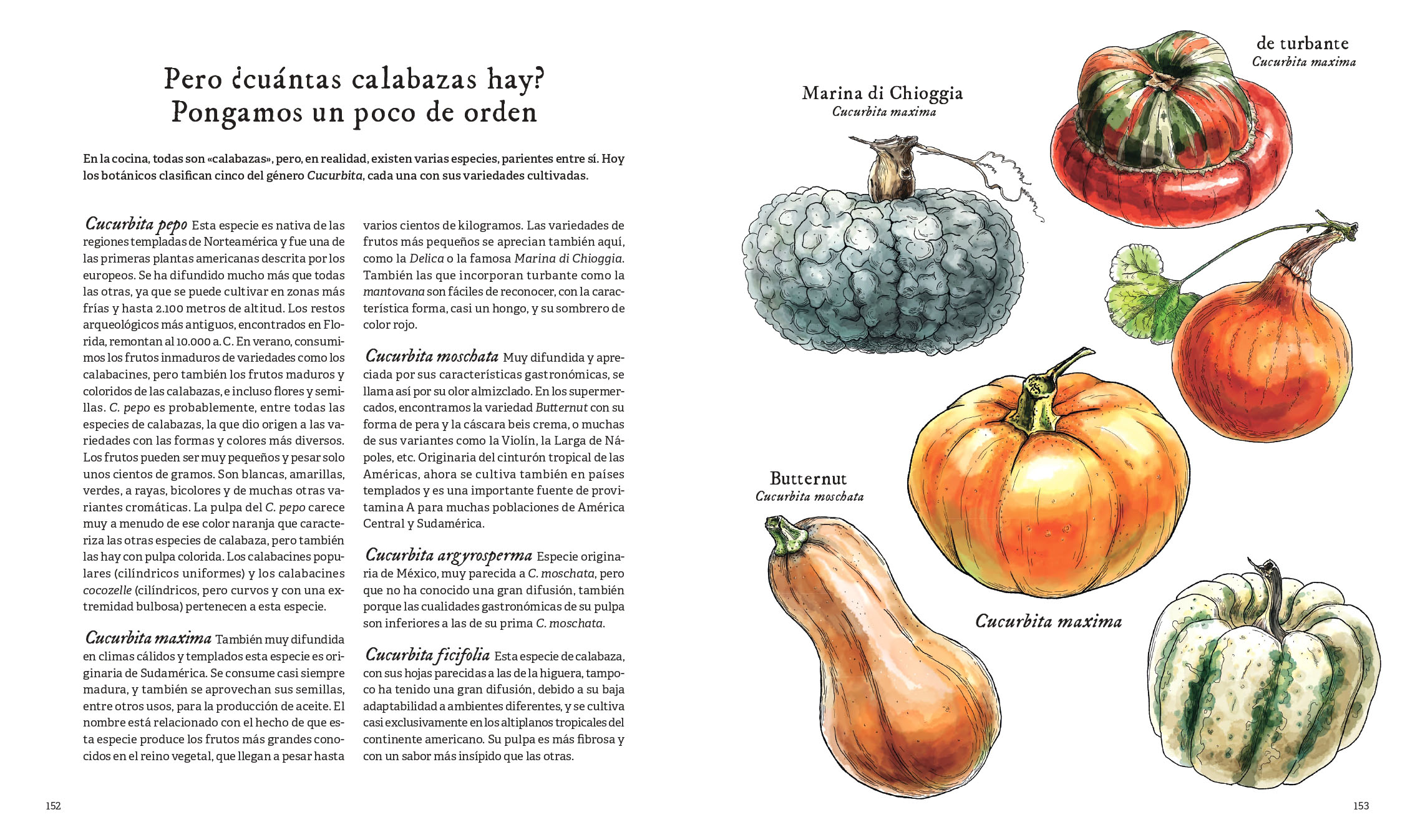 152-153 Ciencia de las verduras_page-0001 copia