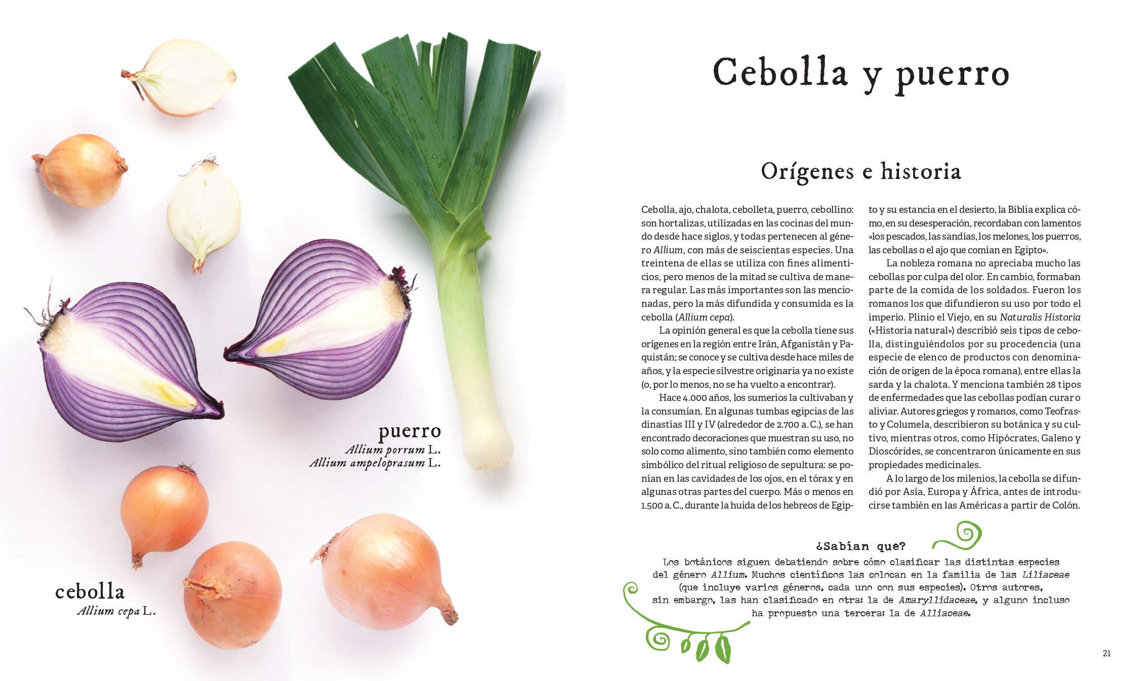 20-21 Ciencia de las verduras_page-0001 copia